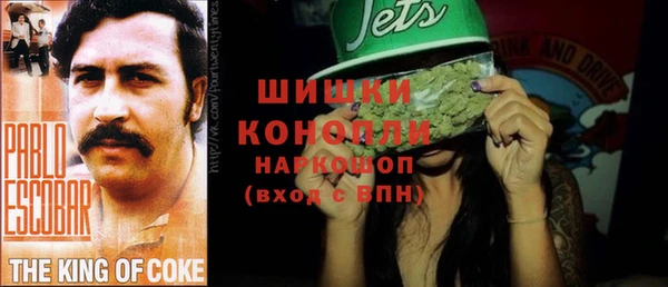 индика Белоозёрский
