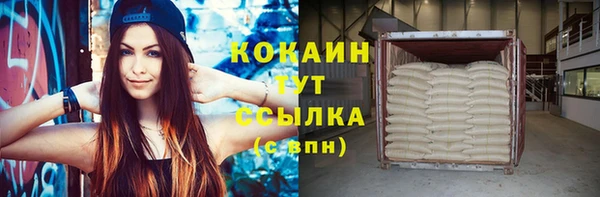 шишки Белокуриха