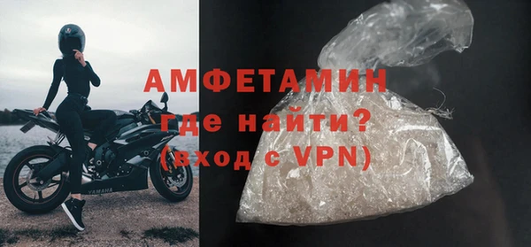 шишки Белокуриха