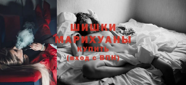 индика Белоозёрский