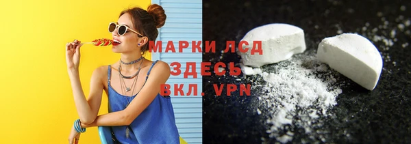 шишки Белокуриха
