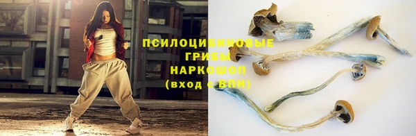 шишки Белокуриха