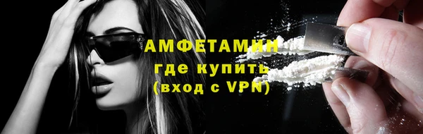 шишки Белокуриха