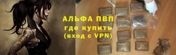индика Белоозёрский