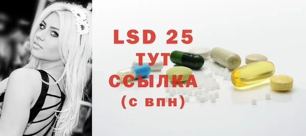 шишки Белокуриха