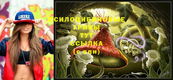 шишки Белокуриха