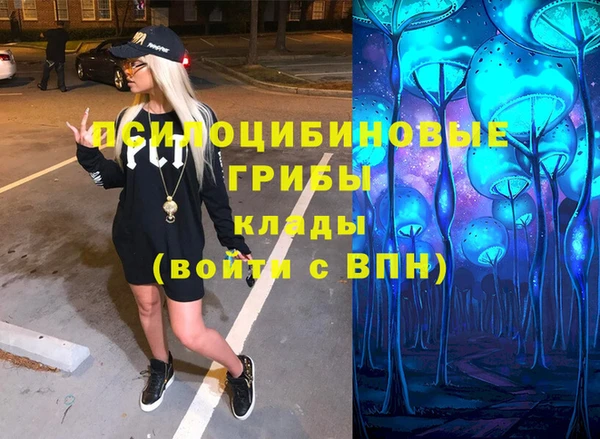 мяу мяу мука Беломорск