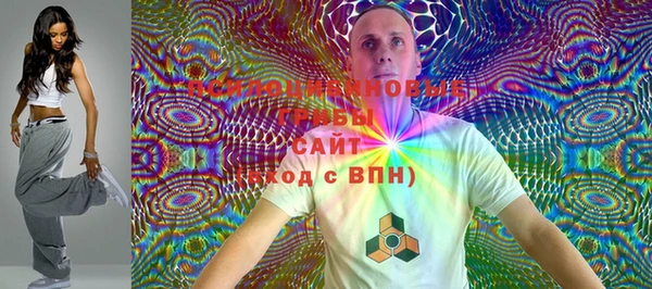 шишки Белокуриха