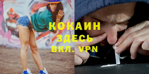 мяу мяу мука Беломорск
