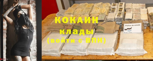 мяу мяу мука Беломорск