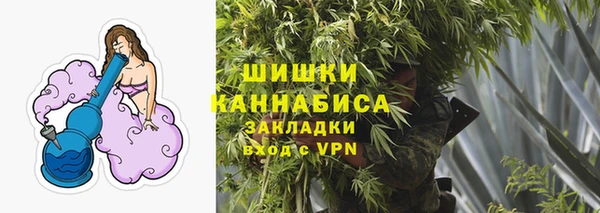 индика Белоозёрский