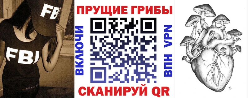 гидра зеркало  Черноголовка  Псилоцибиновые грибы Psilocybine cubensis 