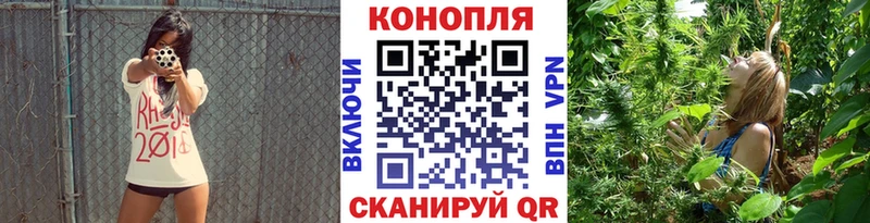 МАРИХУАНА гибрид  Черноголовка 